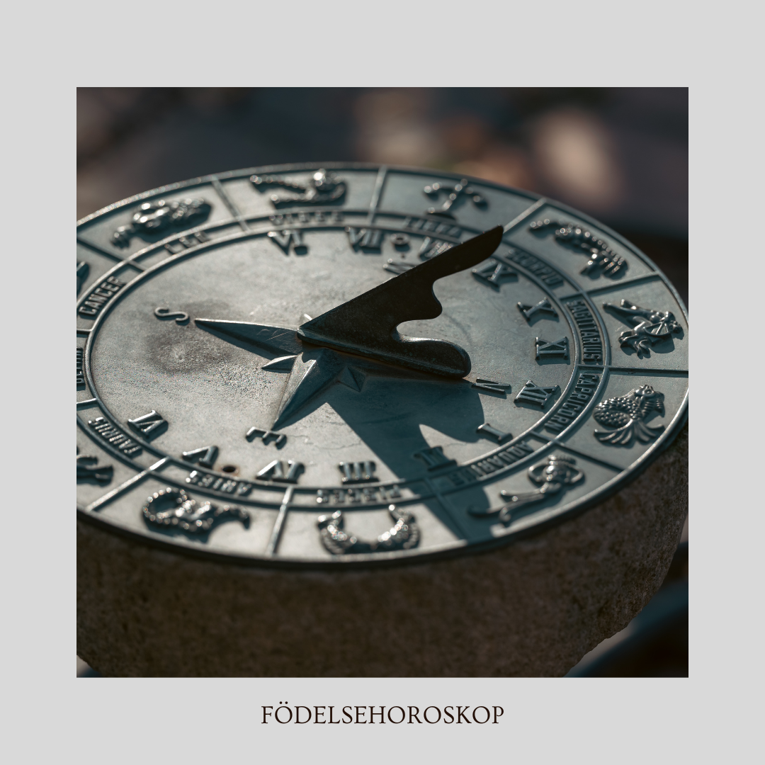 FÖDELSEHOROSKOP - VEDISK ASTROLOGI