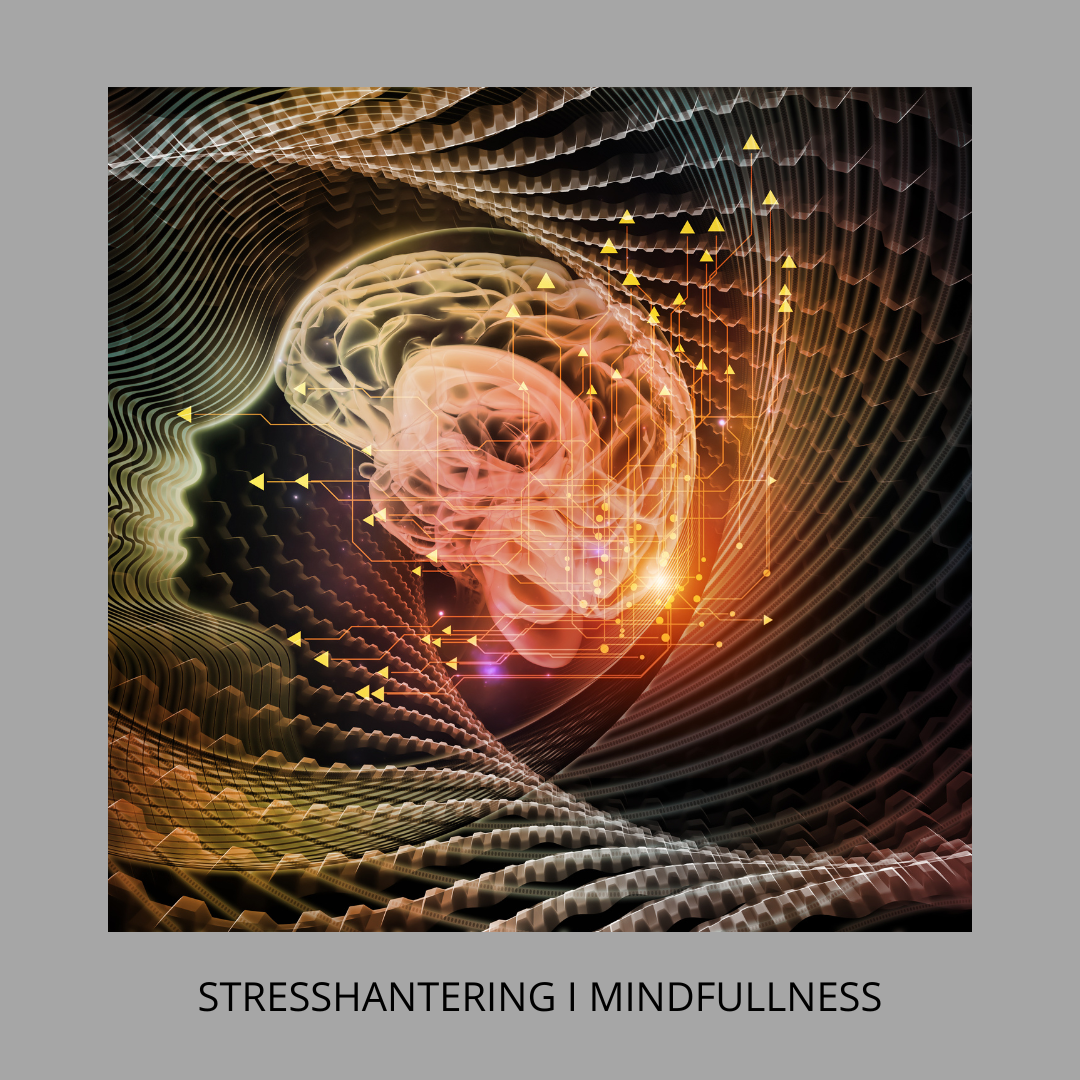 STRESSHANTERING I MINDFULLNESS 4 VECKORSPROGRAM